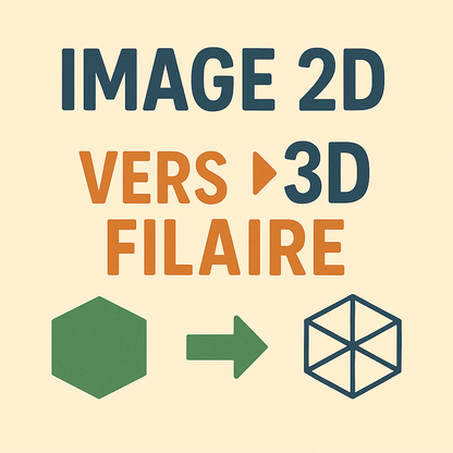 Image 2D vers 3D Filaire